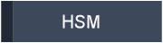 HSM